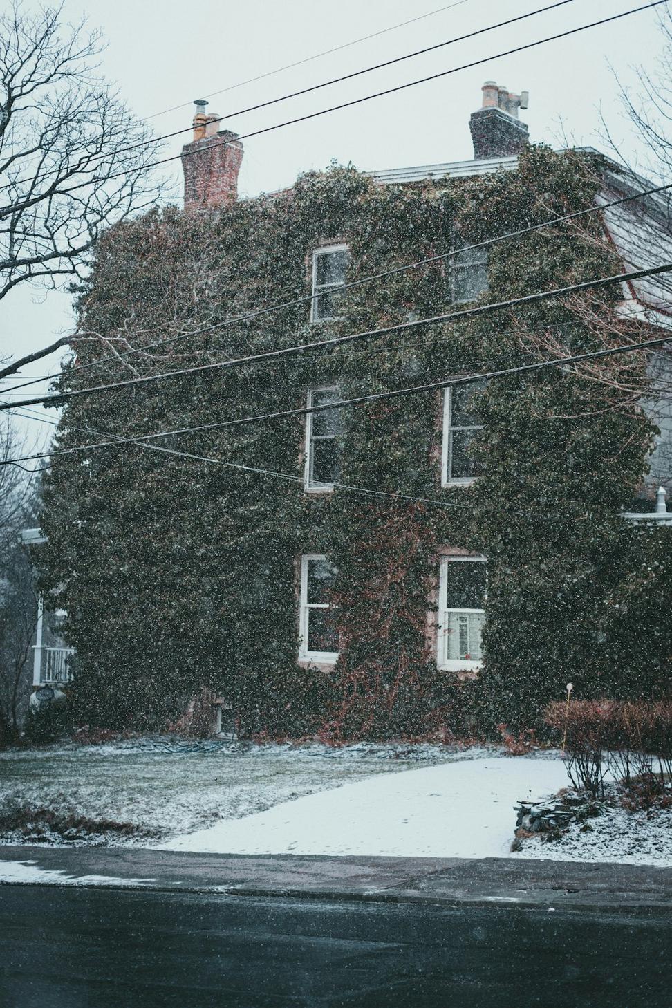 Residential architecture in winter