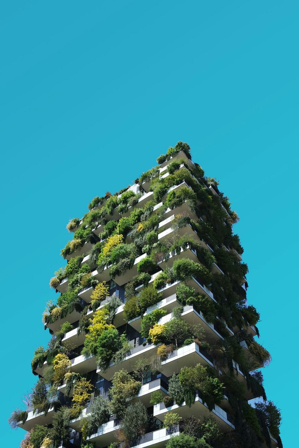 Architectural Design Process